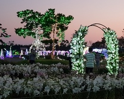 [백합꽃축제] 아름다운 백합터널