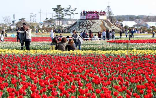 첨부사진1
