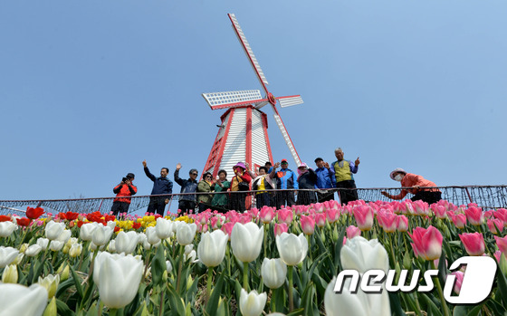 태안 세계튤립축제
