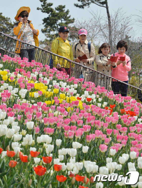 \'튤립에 빠지다\'