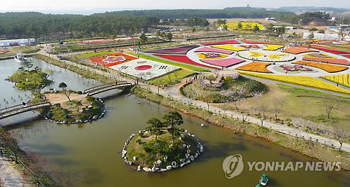 태안튤립축제