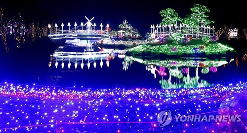 태안 빛축제장의 환상적인 야경
