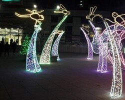 [신길역] 잠자리풀숲