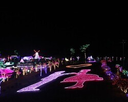 또하나의 태안빛축제 역작, "고백동산&quot