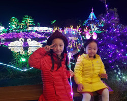 [축제지기엄선작] 인스타그램 ranihoya님입니다.