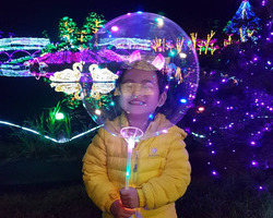 [축제지기엄선작] 인스타그램 ranihoya님입니다.