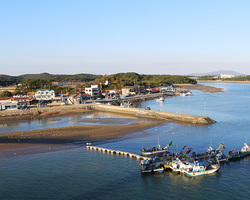 드르니항