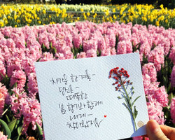 [축제지기엄선작] 인스타그램 sosooorin_93님입