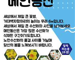수선화 축제장에 뭐가 있지?