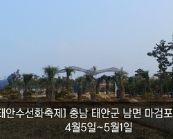 꽃 축제장에 뭐가 생겼을까요~?