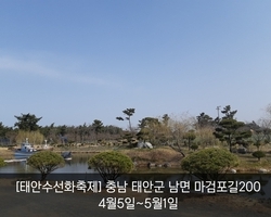 수선화축제 D-8!!