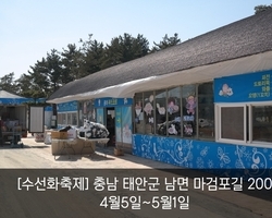 분주한 수선화 축제장!