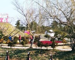 2019. 03. 23 네이처월드 아침풍경. 팬지가 입