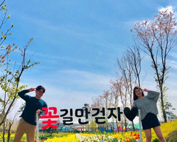 [축제지기엄선작] 인스타그램 choi_p_o님입니다.