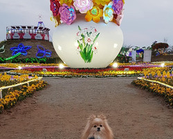 [축제지기엄선작] 인스타그램bonosh87님입니다.