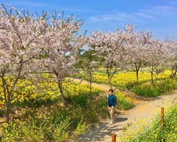 [축제지기엄선작] 인스타그램 choi_p_o님입니다.