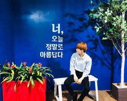 [축제지기엄선작] 인스타그램 yunl_han님입니다.