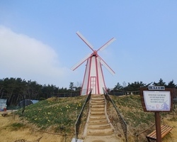 아시나요~ 낮과 밤이 얼마나 다른지~ 풍차동산의 화려한