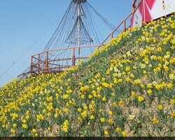 수선화 축제장의 민속박물전시관