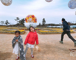 [축제지기엄선작] 인스타그램zzob__12님입니다.