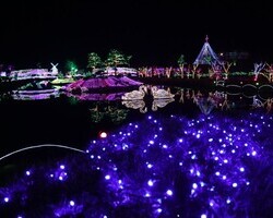 빛축제에 볼게 뭐가 있지 ?