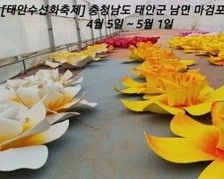 수선화 축제장의 자랑거리