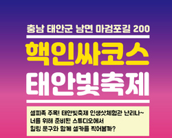 핵인싸코스 #태안빛축제