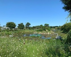 네이처월드로 함께 떠나요~♬