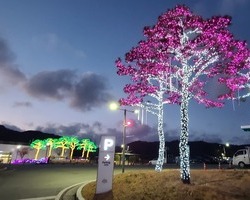 [충남도서관] 2022년_정원 조성