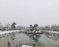 펑펑 눈이 옵니다 ♬