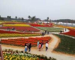 2013.05.09 축제장 內 이미지
