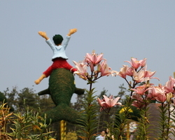 Dream Flower