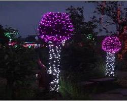 LED 튤립