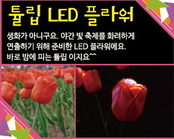 튤립 LED