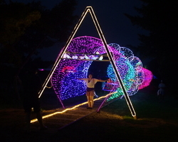 LED 꽃길 터널