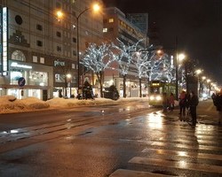 [태안빛축제]일본의 겨울 거리