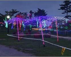 LED 우산