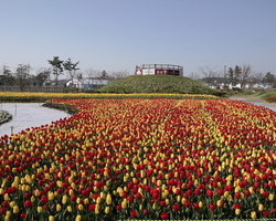 2015.04.22 축제장 內 이미지