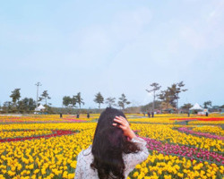 닉네임 : so_hyeyo님