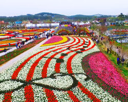 2016.4.28 축제장 內 이미지