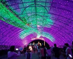 사랑하는 이에게 장미꽃을 보여주세요
