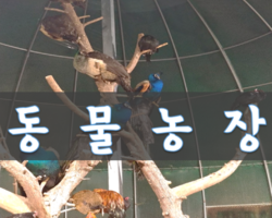 귀여운 동물친구들을 소개합니다!