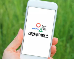 [태안투어패스]싸게 즐기자!