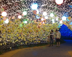 LED 터널