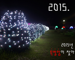 2015.06.23 축제장 內 이미지