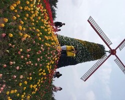 600일 사랑하는봉봉과