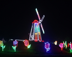 풍차, 튤립 LED 조성