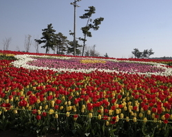 2015.04.23 축제장 內 이미지