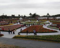 2015.04.18 축제장 內 이미지