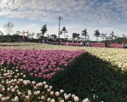 닉네임 sorahan_